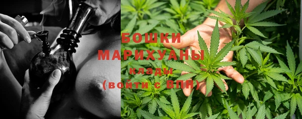 хмурый Михайловск