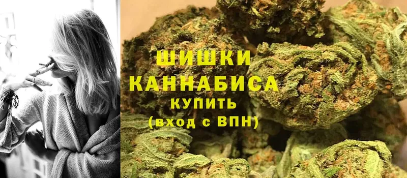 Шишки марихуана Ganja  Мураши 